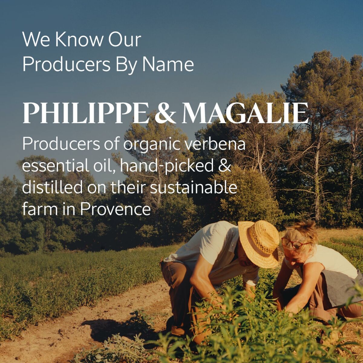 V4HB156FB261BA7751E34CD261F7DF015B3R5915518P4