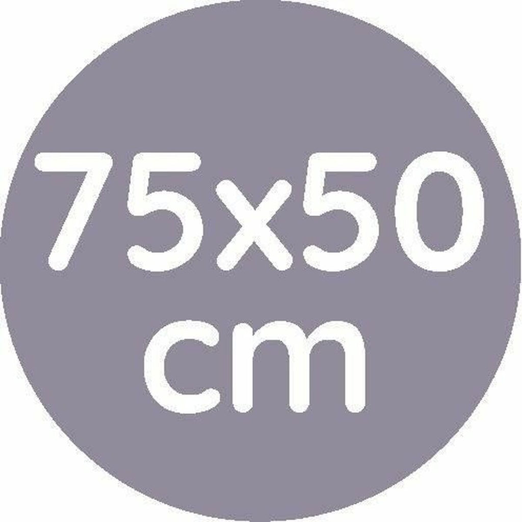 V4H7B2DF4646A9BA07284A25C6B19D837EER4407603P2