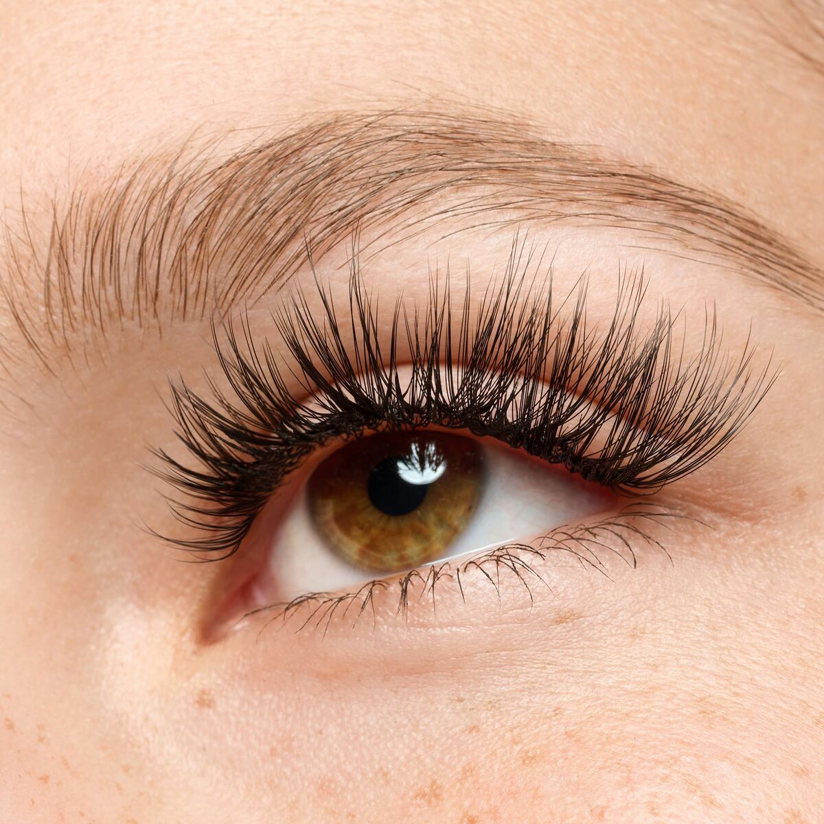 V2HC6E456C49ED282FAE8733CE24ECBA9E5R7435095P6