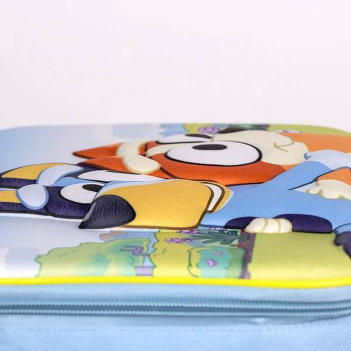 V4H8F5D3615BAD219F2B1E4BE0E4E20F8C1R5426282P4