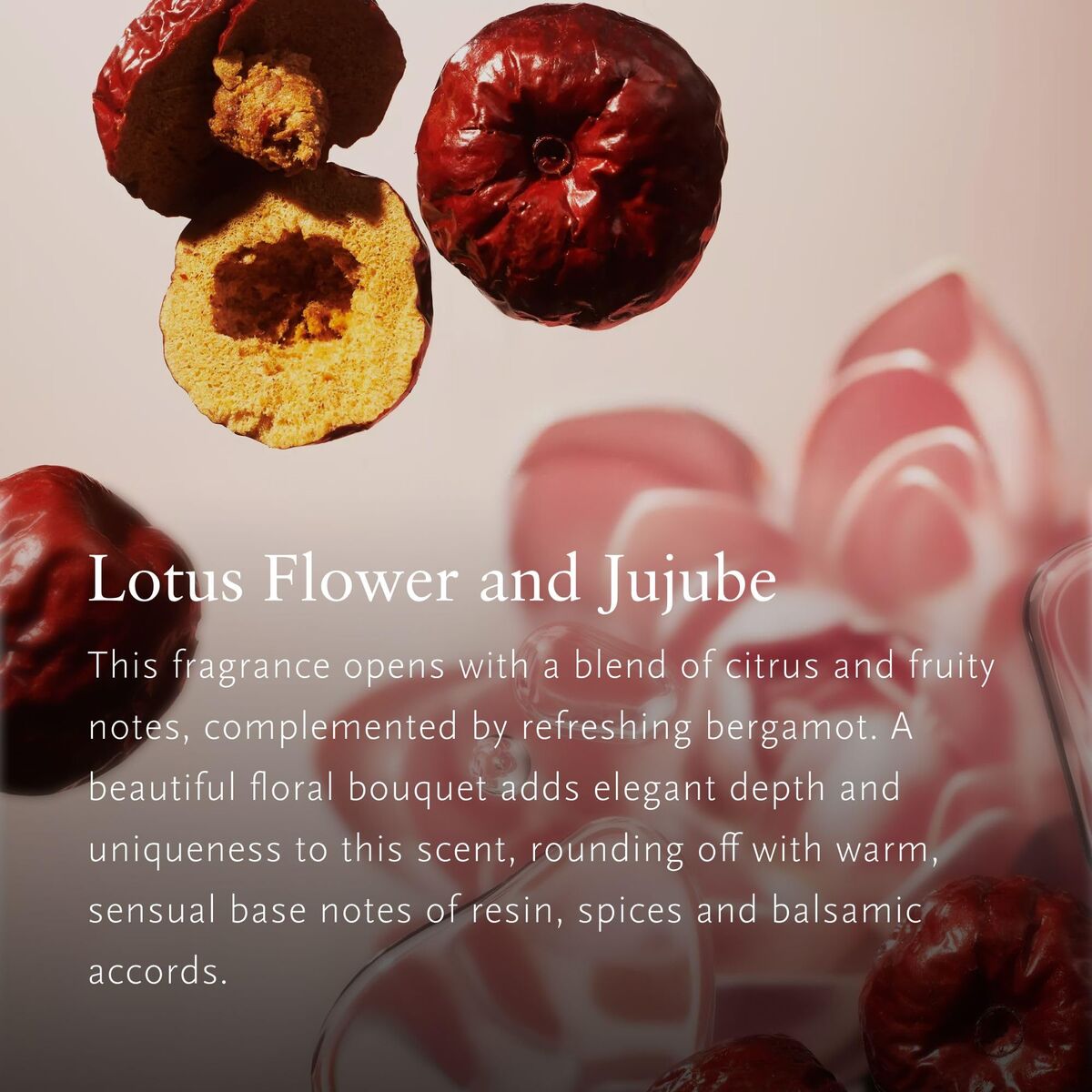 V2H182E6B9B4065572628AB31B2C6732F00R7424638P3